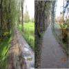 Before_After_1