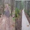 Before_After_2