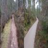 Before_After_3